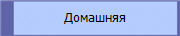 Домашняя